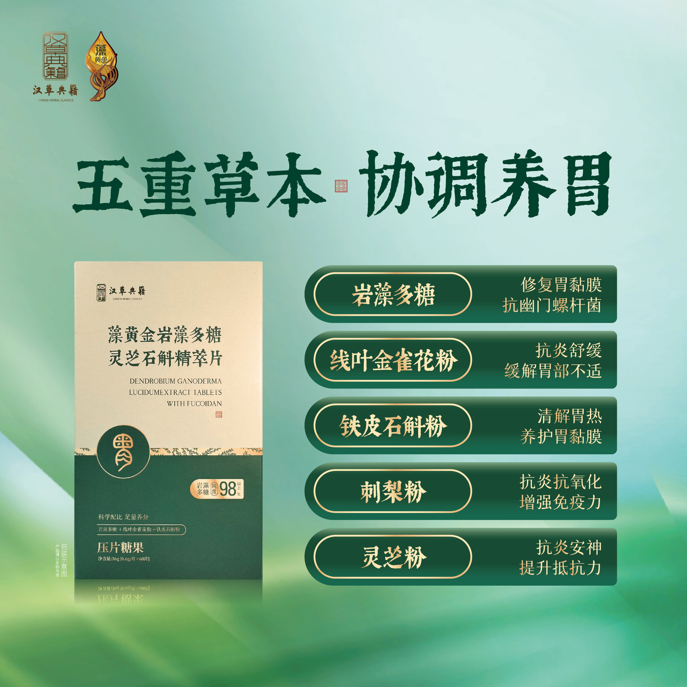 藻黄金岩藻多糖灵芝石斛精萃片